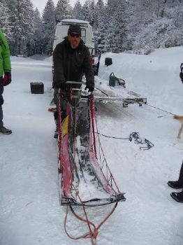 Mush and Rando chien de traineau dans le vercors