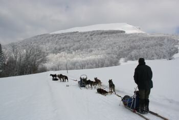 Balade en chien de traineau dans le vercors